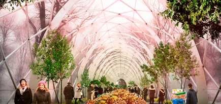 Как изменится парк \"Сокольники\" в ближайшие 15 лет