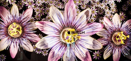 Витрины Selfridges расцвели букетами от Apple