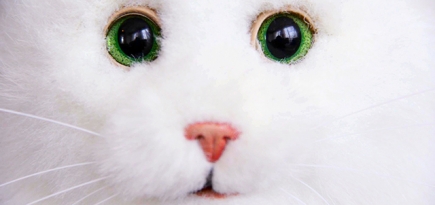 Детский благотворительный фотопроект KidsEra