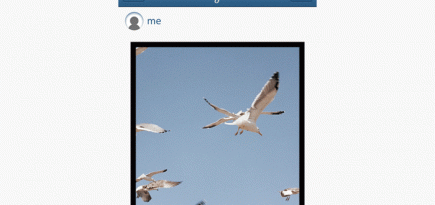 Instagram разрешил публиковать прямоугольные фото и видео