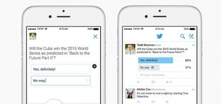 Да или нет: Twitter объявил о запуске опросов