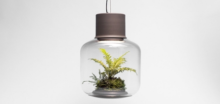 Лампы-террариумы для ленивых цветоводов