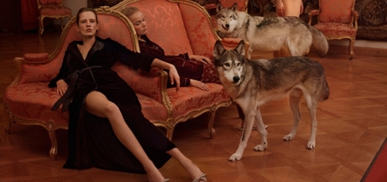 Модели и волки в новогодней фотоистории Mytheresa