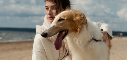 12Storeez выпустил капсульную коллекцию джемперов из кашемира