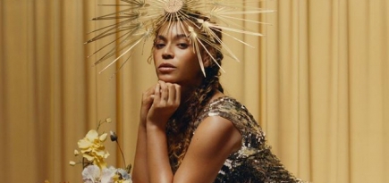 Фотопортрет Бейонсе попал в коллекцию Национальной галереи США