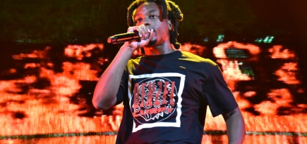 Дензел Карри не будет выступать на фестивале Locals Only в Петербурге