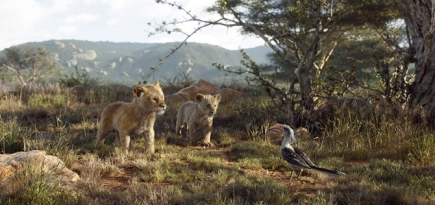 Проекты Disney установили рекорд по сборам в 2019 году