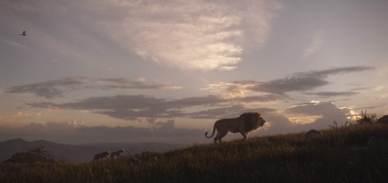 Аниматор оригинального «Короля Льва» раскритиковал новую версию мультфильма