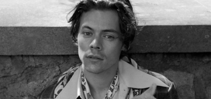 Гарри Стайлз может сыграть Элвиса Пресли в фильме База Лурмана