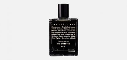 Дождь, туман, бухта: формы воды в парфюмерии