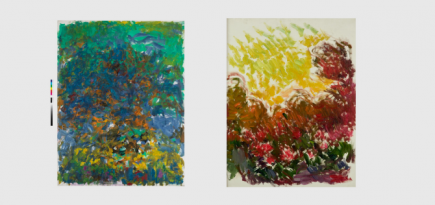 Фонд Louis Vuitton откроет выставку работ Клода Моне и Джоан Митчелл