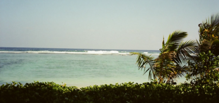 «Аэрофлот» возобновит рейсы на Мальдивы