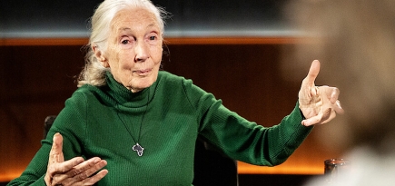 Netflix запустил новый интервью-проект со знаменитостями