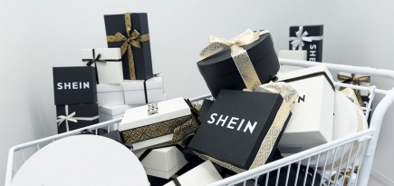 Shein могут запретить во Франции