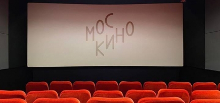 Вуди Аллен и Эмир Кустурица станут хедлайнерами Московской международной недели кино