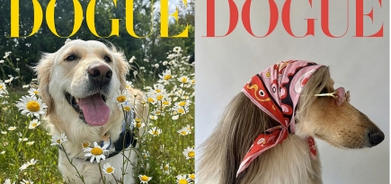 Vogue объявил победителей конкурса моделей-собак