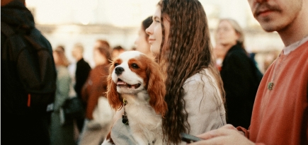 Фестиваль «Антон тут рядом» объявил третью волну артистов