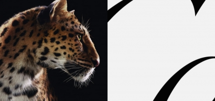 Cartier показал рекламную кампанию с пантерой