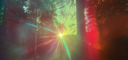 Арт-резиденция «Гало» откроет выставку «Резонанс»