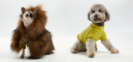 RomaUvarovDesign и Pet Subject показали коллекцию для домашних животных в британском стиле