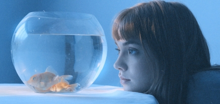 Группа «внимание брусника!» выпустила новый альбом