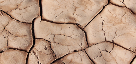 Почему кожа шелушится и как ее спасать