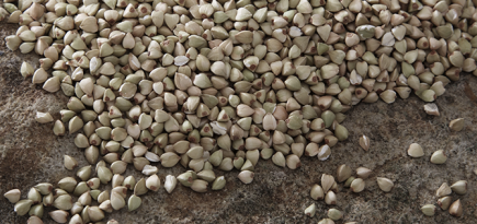 Атлант затарил гречи? Мы расскажем, что с ней делать, и вспомним итальянских футуристов