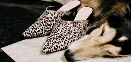 Туфли, которые спасут даже провальный образ: 20 пар праздничной обуви