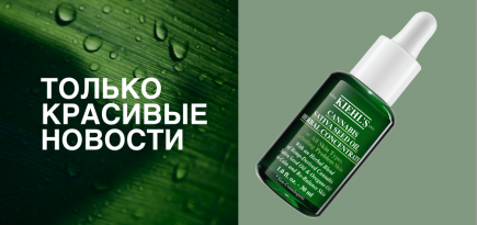 Духи для фанатов фламандской живописи, мейкап цвета сакуры и другие новинки недели