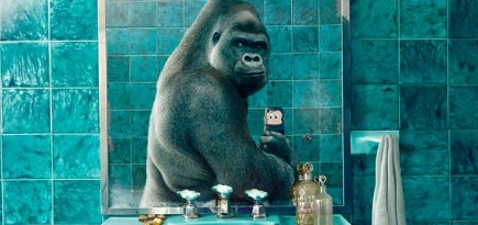 Дикие селфи: новый проект National Geographic и Diomedia