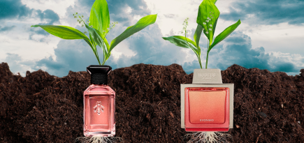 Зеленая фея, чернильная лужа, миндальный десерт — в новых ароматах октября