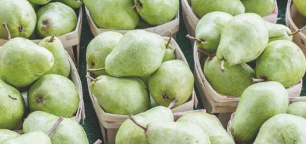 Что нужно знать о диете Пегано