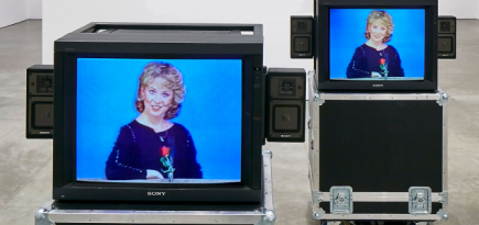 Prada организовывает выставку, посвященную творчеству Дары Бирнбаум