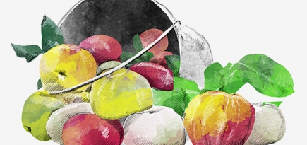 Как фермерские продукты попадают или не попадают в Москву