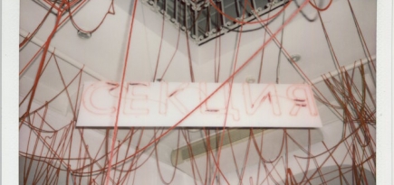 Дизайнерский концепт-стор «Секция» открылся в новом пространстве в ГУМе