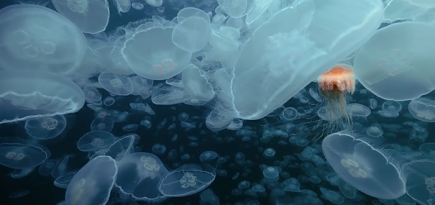 Рождение Вселенной в трейлере \"Путешествия времени\" Терренса Малика