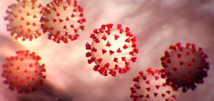 Минздрав сравнил российскую вакцину от COVID-19 с американским и немецким аналогом