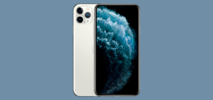 iPhone 11 и iPhone 11 Pro выдержали восемь месяцев работы под водой