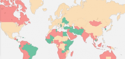 Появился сайт для путешественников с актуальной информацией о коронавирусе