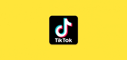 Власти США оштрафовали TikTok за незаконный сбор данных о детях