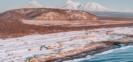 В РАН заявили, что причиной экологической катастрофы на Камчатке стало цветение водорослей