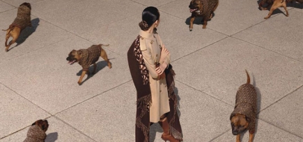 Burberry выпускает худи для собак
