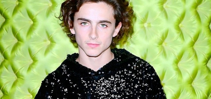 Тимоти Шаламе вышел на красную дорожку в худи из пайеток