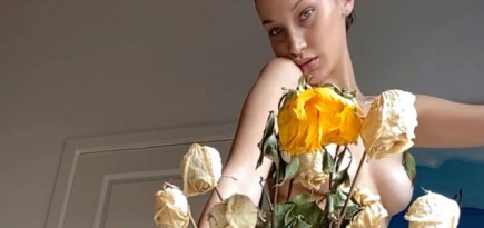 Белла Хадид снялась обнаженной по FaceTime