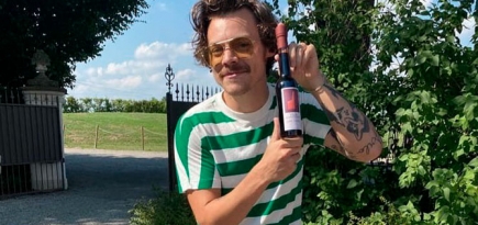 Гарри Стайлз отрастил усы