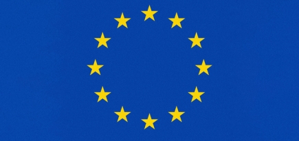 ЕС разрешил подавать документы на визу за полгода до поездки