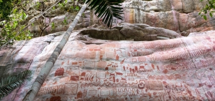 В Колумбии обнаружили наскальные росписи, сравнимые с фресками Cикстинской капеллы