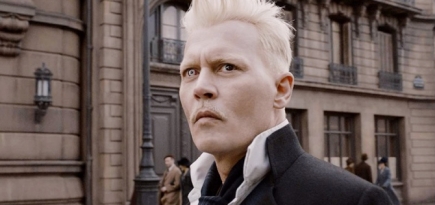 Warner Bros. уволила Джонни Деппа из третьей части «Фантастических тварей»