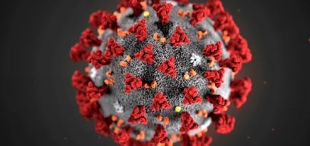 Названы новые критерии для госпитализации больных с коронавирусом