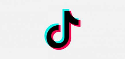 Российские власти создадут «TikTok для школьников»